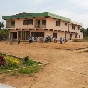 overview of the LCA (2)